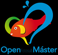 Logo-master-texto-200-negro